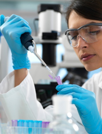 Info Library Info Library